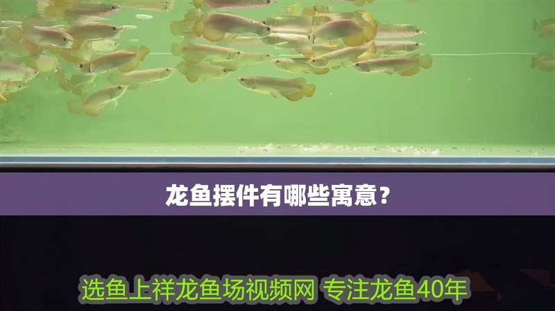 龍魚擺件有哪些寓意？