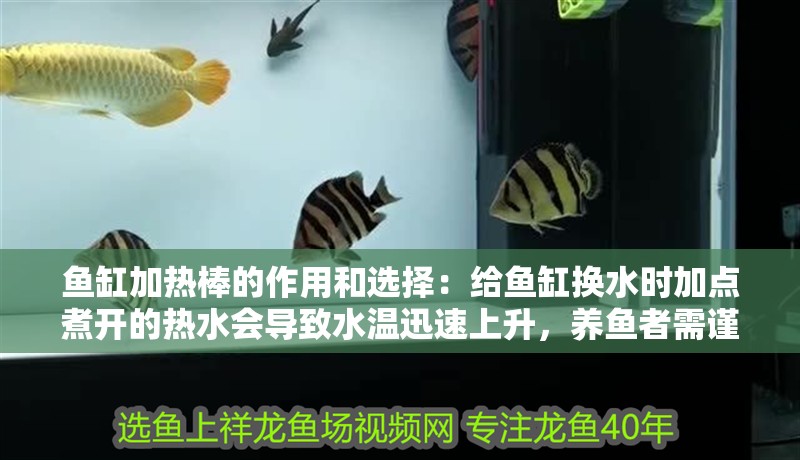 魚缸加熱棒的作用和選擇：給魚缸換水時加點煮開的熱水會導致水溫迅速上升，養魚者需謹慎