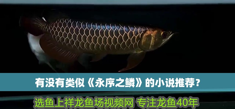 我的虎魚真菌感染了要怎么處理 有沒有類似《永序之鱗》的小說(shuō)推薦? 龍魚百科 有沒有類似《永序之鱗》的小說(shuō)推薦? 有沒有類似《永序之鱗》的小說(shuō)推薦? 龍魚百科