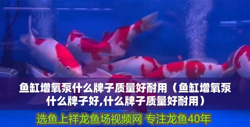 魚缸增氧泵什么牌子質量好耐用（魚缸增氧泵什么牌子好,什么牌子質量好耐用）