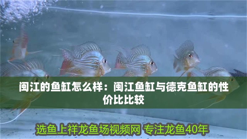 閩江的魚缸怎么樣：閩江魚缸與德克魚缸的性價比比較