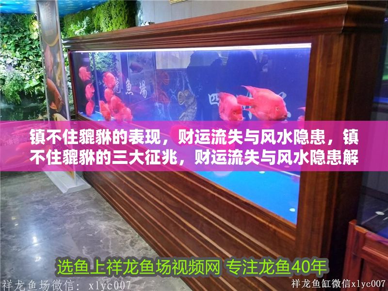 鎮不住貔貅的表現，財運流失與風水隱患，鎮不住貔貅的三大征兆，財運流失與風水隱患解析