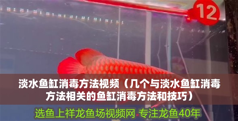 淡水魚(yú)缸消毒方法視頻（幾個(gè)與淡水魚(yú)缸消毒方法相關(guān)的魚(yú)缸消毒方法和技巧）