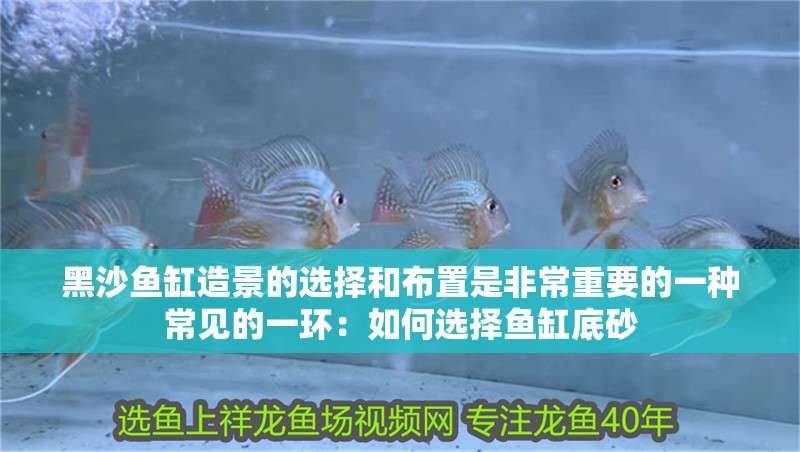黑沙魚缸造景的選擇和布置是非常重要的一種常見的一環(huán)：如何選擇魚缸底砂