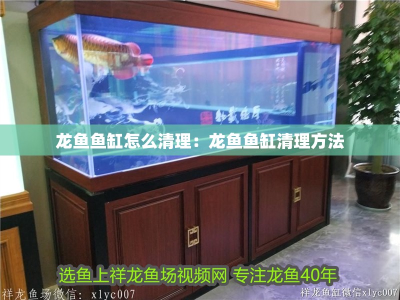 龍魚魚缸怎么清理：龍魚魚缸清理方法