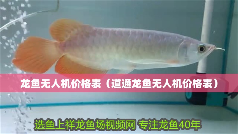 龍魚無人機價格表（道通龍魚無人機價格表）
