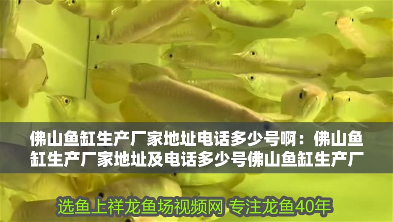 佛山魚缸生產(chǎn)廠家地址電話多少號啊：佛山魚缸生產(chǎn)廠家地址及電話多少號佛山魚缸生產(chǎn)廠家地址