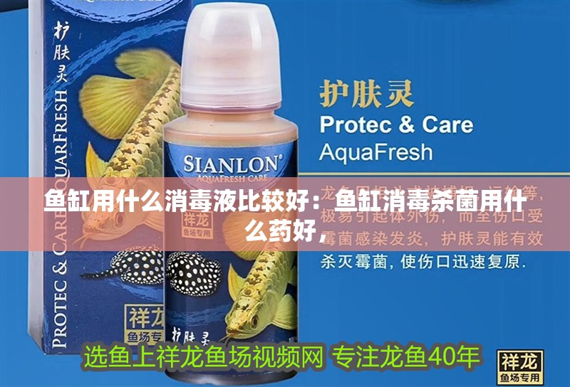魚缸用什么消毒液比較好：魚缸消毒殺菌用什么藥好，