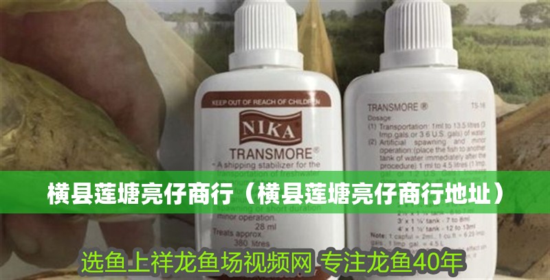 橫縣蓮塘亮仔商行（橫縣蓮塘亮仔商行地址）