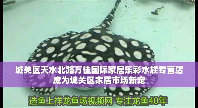 城關(guān)區(qū)天水北路萬佳國際家居樂彩水族專營店成為城關(guān)區(qū)家居市場新寵