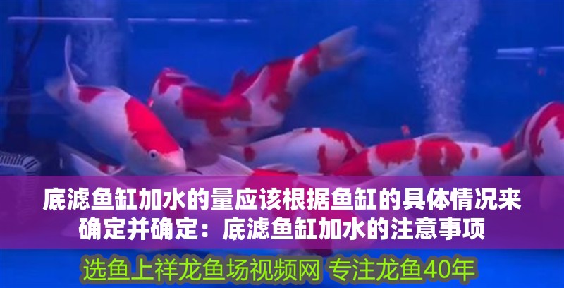 底濾魚缸加水的量應該根據魚缸的具體情況來確定并確定：底濾魚缸加水的注意事項