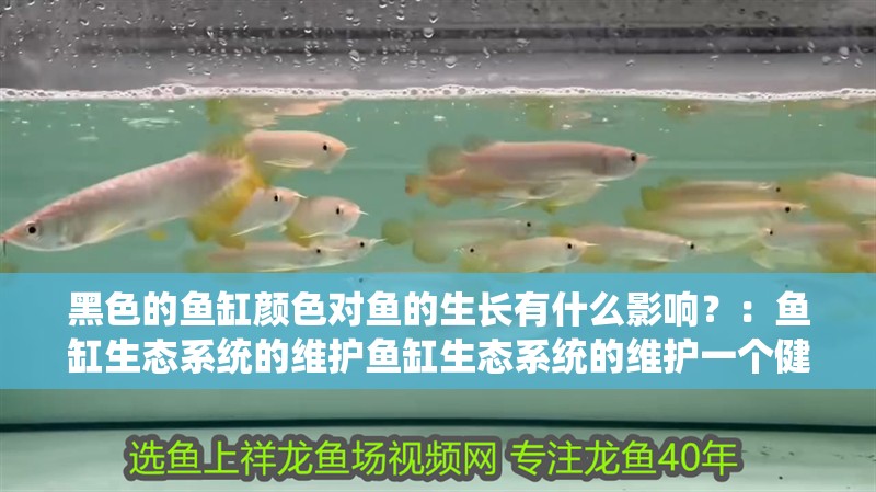 黑色的魚缸顏色對魚的生長有什么影響？：魚缸生態(tài)系統(tǒng)的維護魚缸生態(tài)系統(tǒng)的維護一個健康的魚缸生態(tài)系統(tǒng)