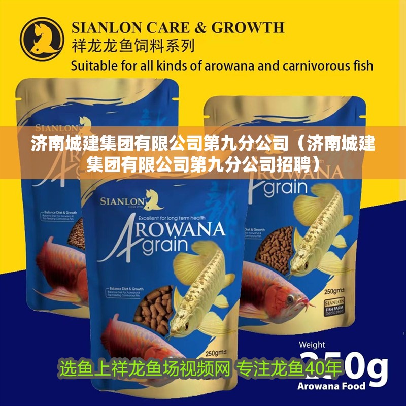 濟南城建集團有限公司第九分公司（濟南城建集團有限公司第九分公司招聘）