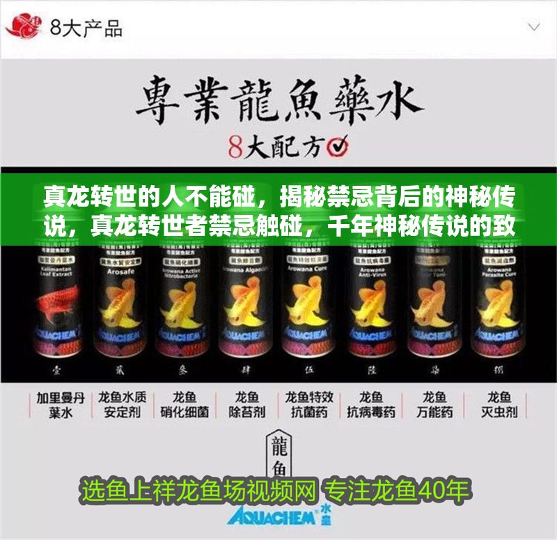 真龍轉(zhuǎn)世的人不能碰，揭秘禁忌背后的神秘傳說，真龍轉(zhuǎn)世者禁忌觸碰，千年神秘傳說的致命真相