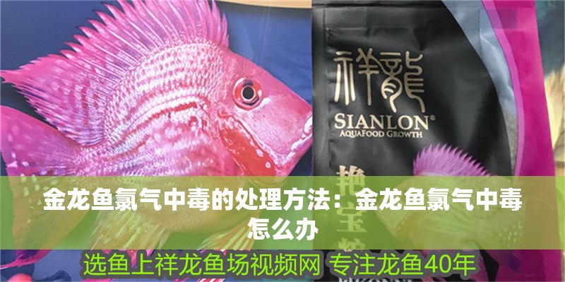 金龍魚氯氣中毒的處理方法：金龍魚氯氣中毒怎么辦