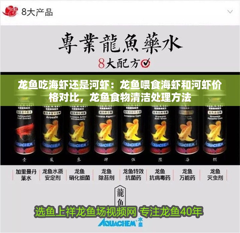 龍魚吃海蝦還是河蝦：龍魚喂食海蝦和河蝦價格對比，龍魚食物清潔處理方法