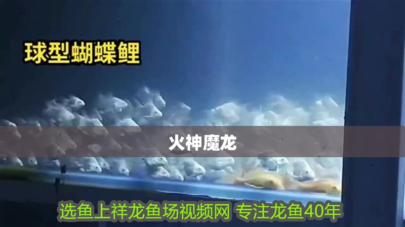 火神魔龍