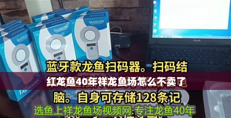 紅龍魚40年祥龍魚場怎么不賣了
