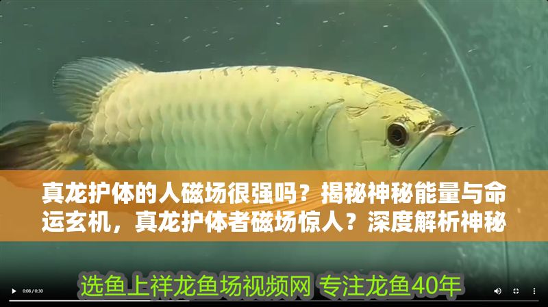 真龍護體的人磁場很強嗎？揭秘神秘能量與命運玄機，真龍護體者磁場驚人？深度解析神秘能量與命運關聯(lián)