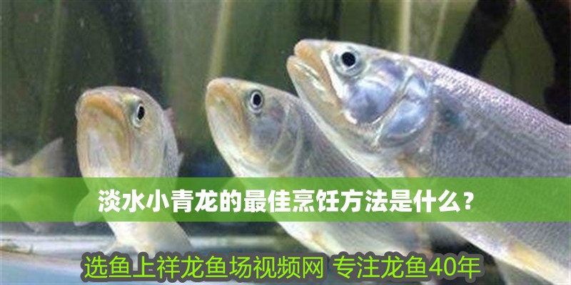 淡水小青龍的最佳烹飪方法是什么？
