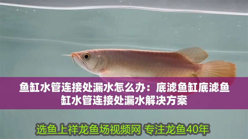 魚缸水管連接處漏水怎么辦：底濾魚缸底濾魚缸水管連接處漏水解決方案