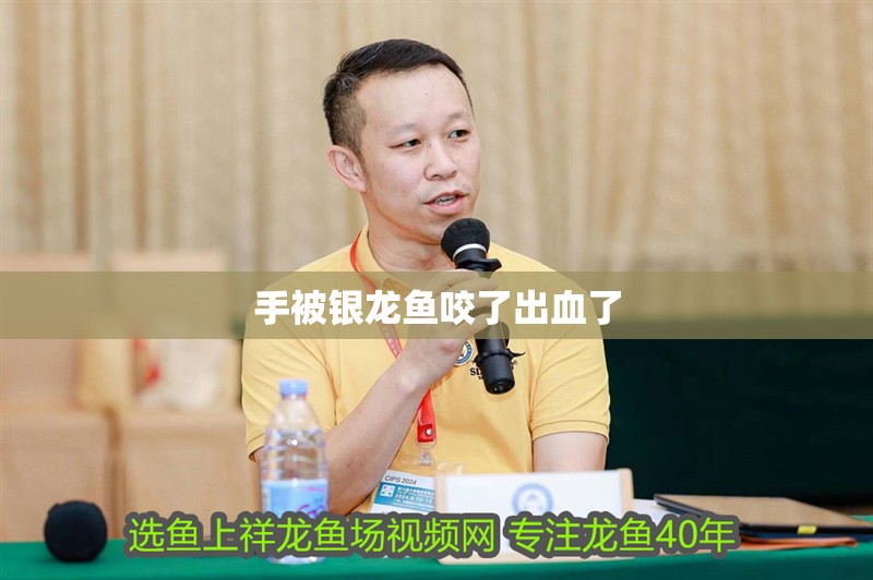 手被銀龍魚咬了出血了