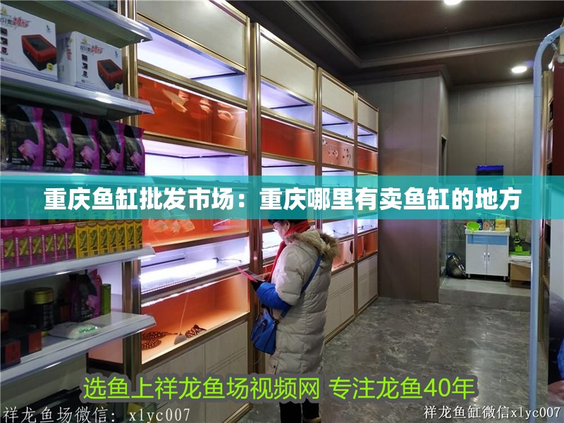 重慶魚缸批發(fā)市場(chǎng)：重慶哪里有賣魚缸的地方