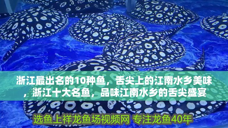 浙江最出名的10種魚，舌尖上的江南水鄉美味，浙江十大名魚，品味江南水鄉的舌尖盛宴