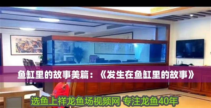 魚缸里的故事美篇：《發生在魚缸里的故事》