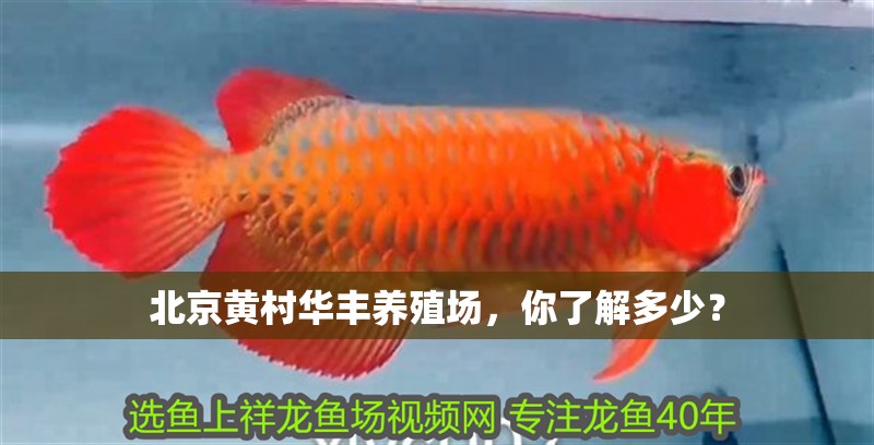 北京黃村華豐養(yǎng)殖場(chǎng)，你了解多少？