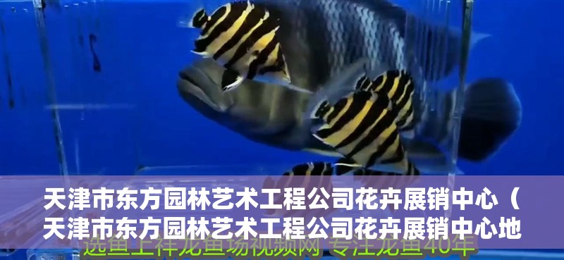 天津市東方園林藝術工程公司花卉展銷中心（天津市東方園林藝術工程公司花卉展銷中心地址）
