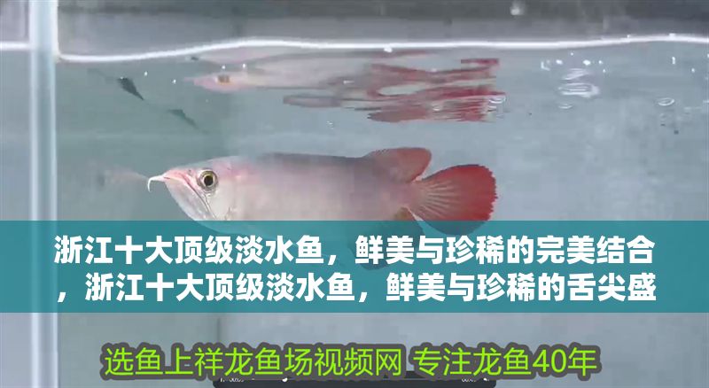 浙江十大頂級淡水魚，鮮美與珍稀的完美結合，浙江十大頂級淡水魚，鮮美與珍稀的舌尖盛宴