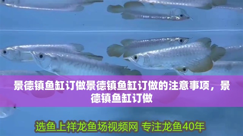 景德鎮魚缸訂做景德鎮魚缸訂做的注意事項，景德鎮魚缸訂做
