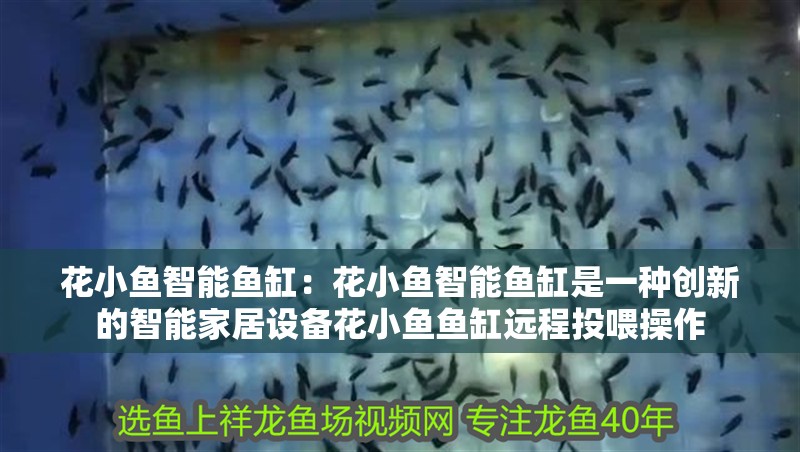 花小魚智能魚缸：花小魚智能魚缸是一種創新的智能家居設備花小魚魚缸遠程投喂操作