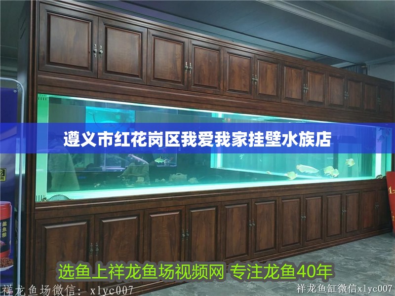 遵義市紅花崗區我愛我家掛壁水族店