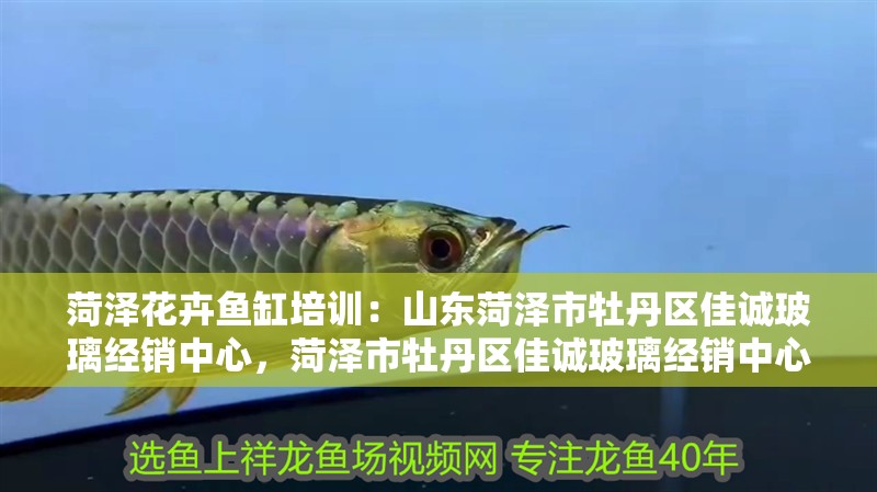 菏澤花卉魚缸培訓：山東菏澤市<strong><mark>牡丹</mark></strong>區(qū)佳誠玻璃經(jīng)銷中心，菏澤市<strong><mark>牡丹</mark></strong>區(qū)佳誠玻璃經(jīng)銷中心