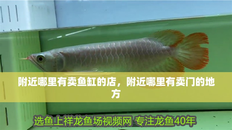 附近哪里有賣魚缸的店，附近哪里有賣門的地方