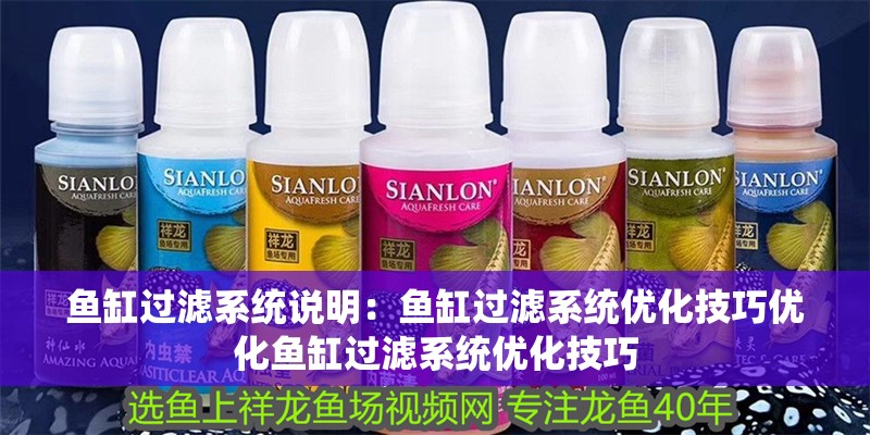 魚缸過濾系統說明：魚缸過濾系統優化技巧優化魚缸過濾系統優化技巧