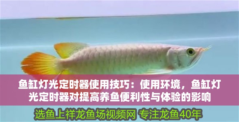 魚缸燈光定時器使用技巧：使用環(huán)境，魚缸燈光定時器對提高養(yǎng)魚便利性與體驗的影響