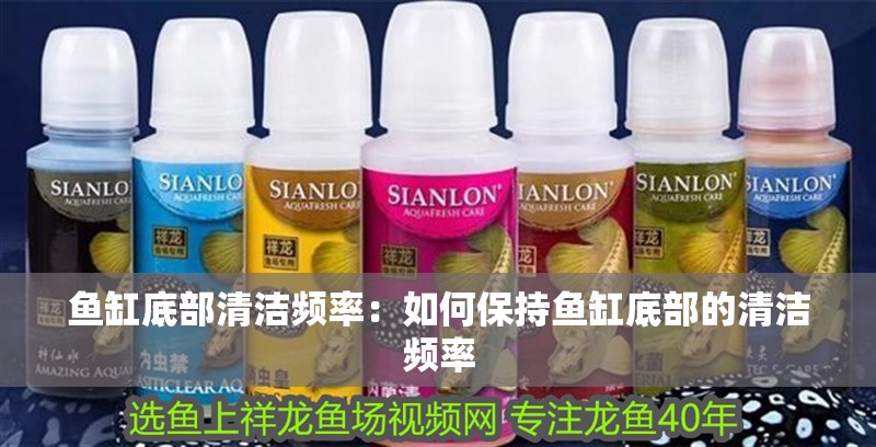 魚缸底部清潔頻率：如何保持魚缸底部的清潔頻率