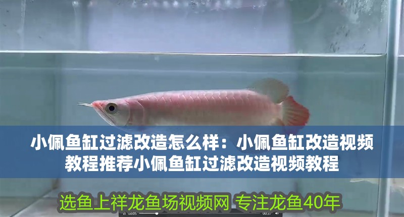 小佩魚缸過濾改造怎么樣：小佩魚缸改造視頻教程推薦小佩魚缸過濾改造視頻教程