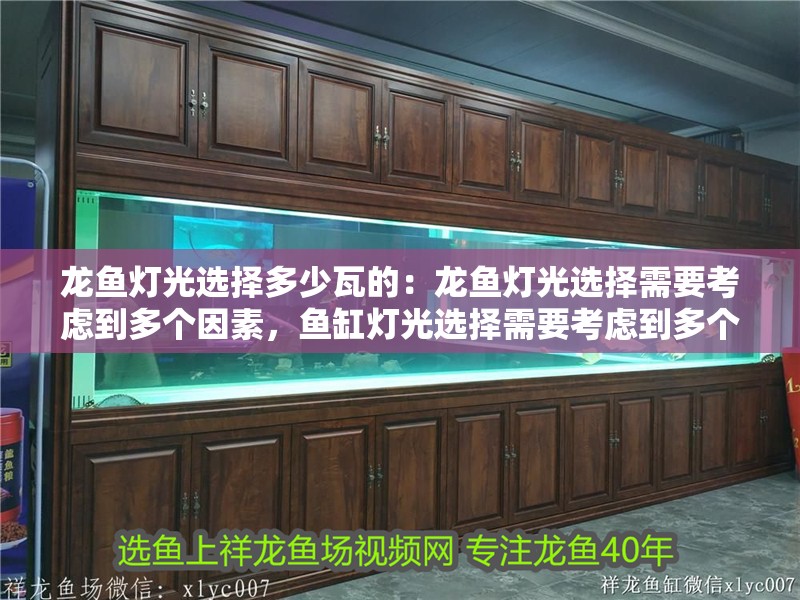 龍魚燈光選擇多少瓦的：龍魚燈光選擇需要考慮到多個因素，魚缸燈光選擇需要考慮到多個因素