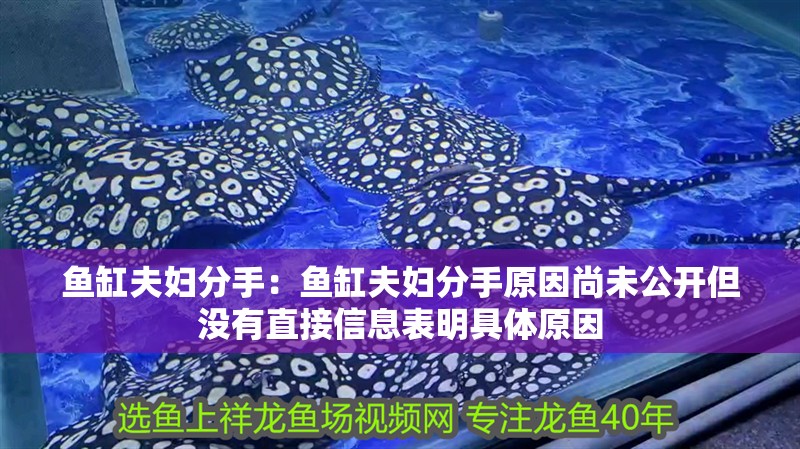 魚缸夫婦分手：魚缸夫婦分手原因尚未公開但沒有直接信息表明具體原因