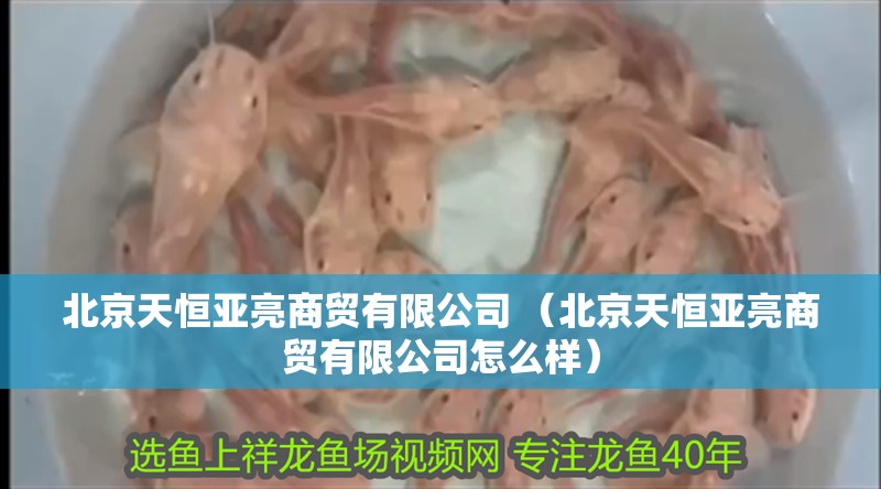 北京天恒亞亮商貿(mào)有限公司 （北京天恒亞亮商貿(mào)有限公司怎么樣）