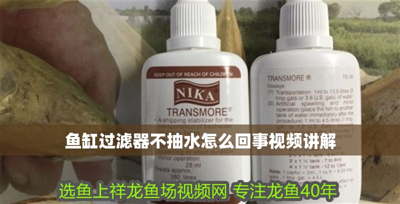 魚缸過濾器不抽水怎么回事視頻講解