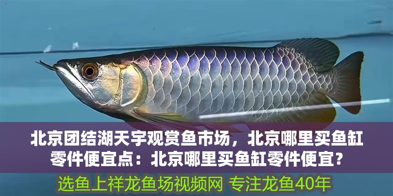 北京團結湖天宇觀賞魚市場，北京哪里買魚缸零件便宜點：北京哪里買魚缸零件便宜？ 北京團結湖天宇觀賞魚市場，北京哪里買魚缸零件便宜點：北京哪里買魚缸零件便宜？ 魚缸百科