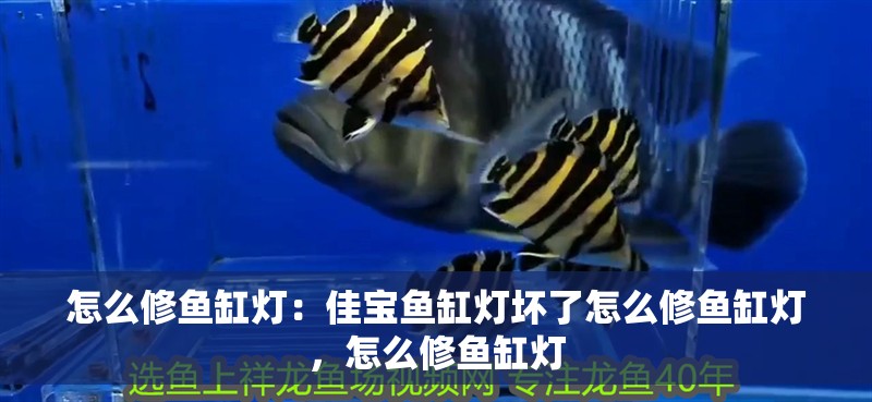 怎么修魚缸燈：佳寶魚缸燈壞了怎么修魚缸燈，怎么修魚缸燈