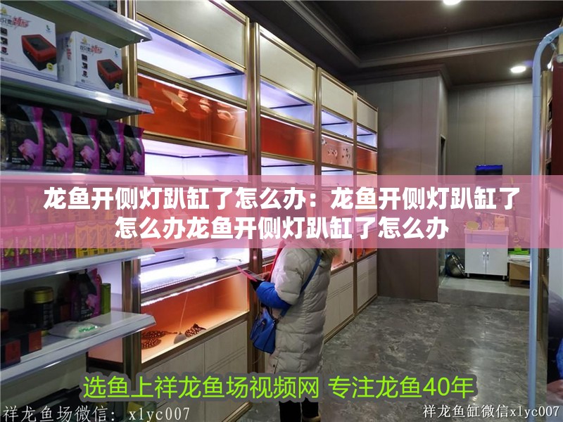 龍魚開側燈趴缸了怎么辦：龍魚開側燈趴缸了怎么辦龍魚開側燈趴缸了怎么辦