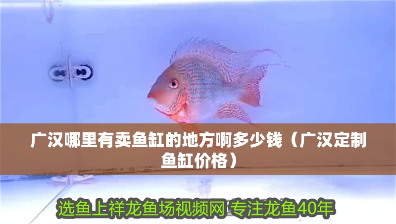 廣漢哪里有賣魚缸的地方啊多少錢（廣漢定制魚缸價格）