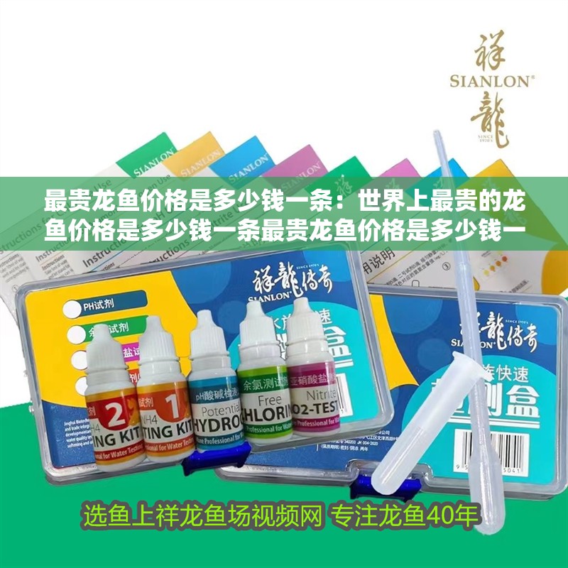 最貴龍魚價格是多少錢一條：世界上最貴的龍魚價格是多少錢一條最貴龍魚價格是多少錢一條